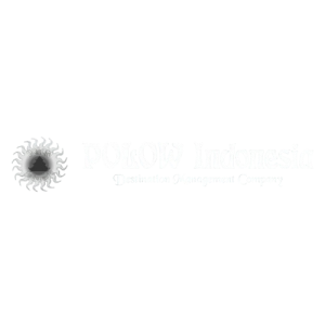 Polow Tour Logo